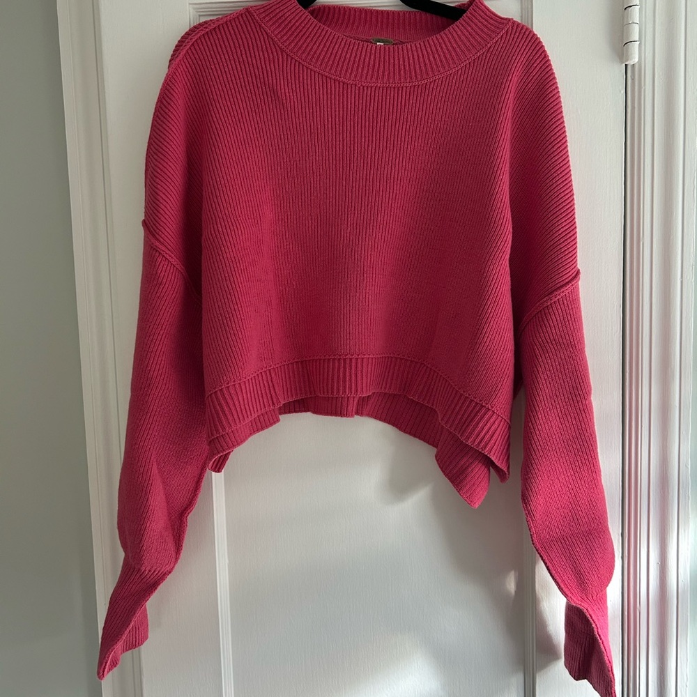 Free People Raspberry Crew Neck Sweater
